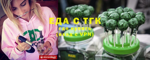 шишки Горно-Алтайск