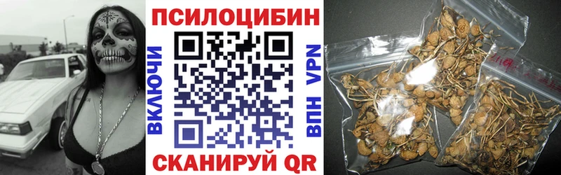 Галлюциногенные грибы Psilocybine cubensis  наркотики  Клинцы 